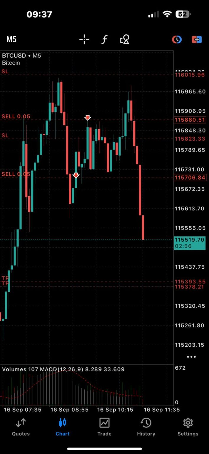 WhatsApp Image 2025-09-24 at 11.58.00